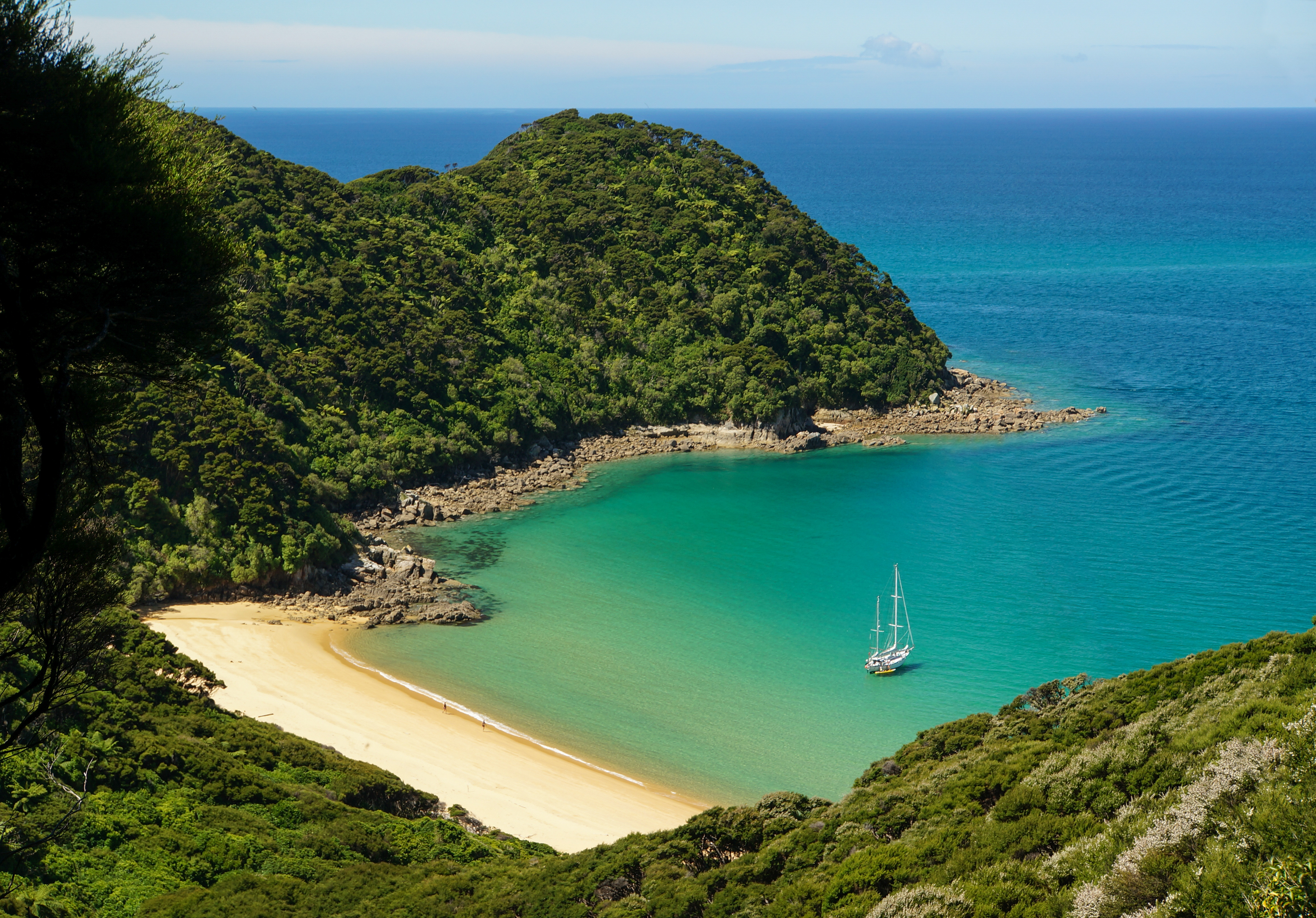 View of the golden sands of Abel Tasman National Park, a popular and easy day trip from Nelson.