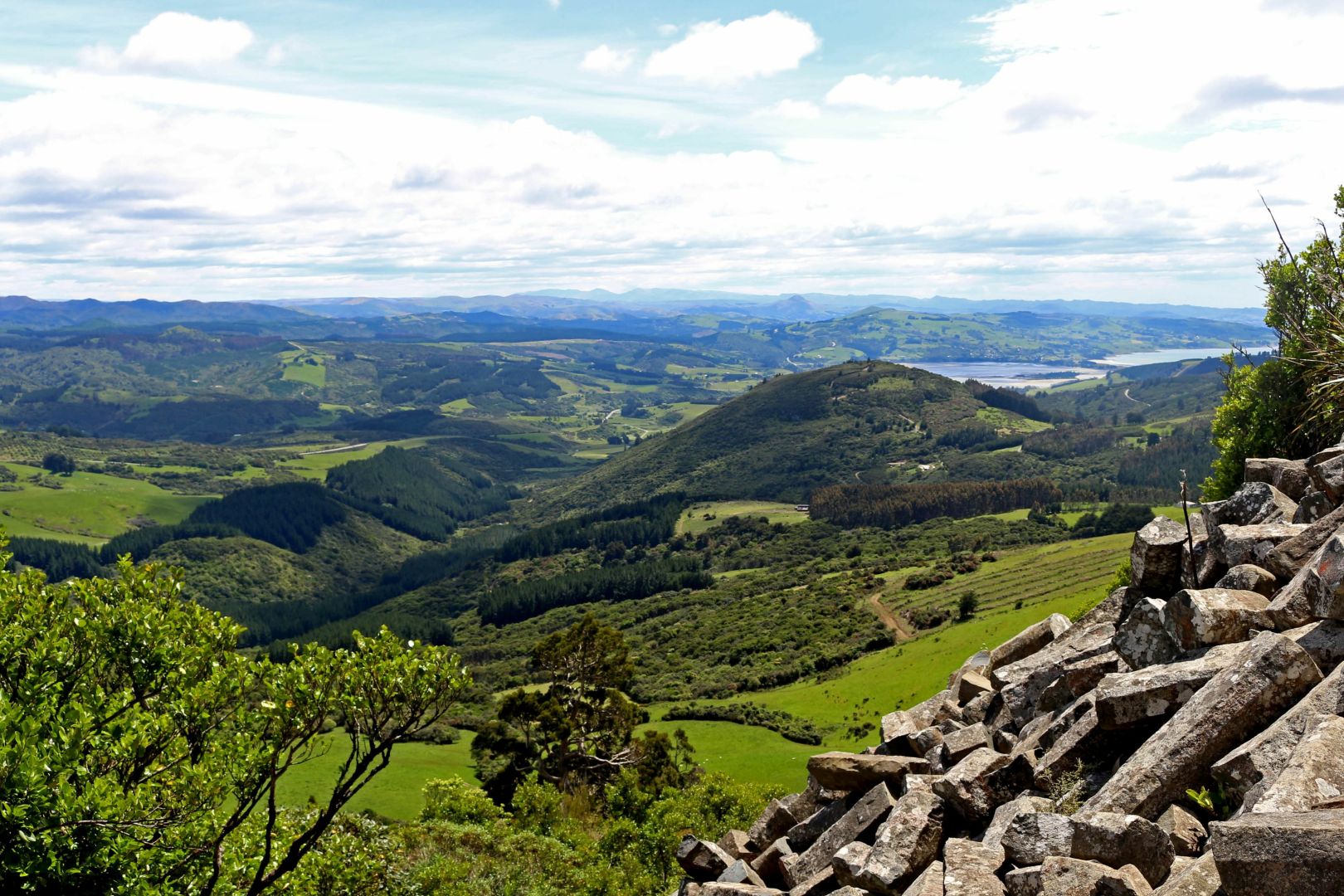 Essential guide to Dunedin