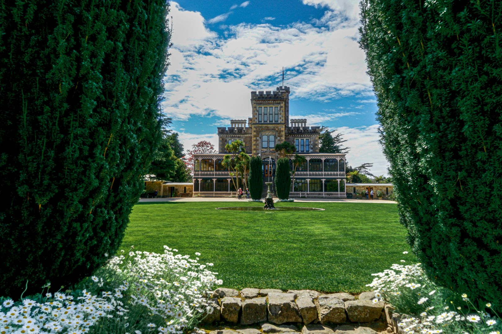 Things To Do In Dunedin | Blogs | Bella Vista Dunedin