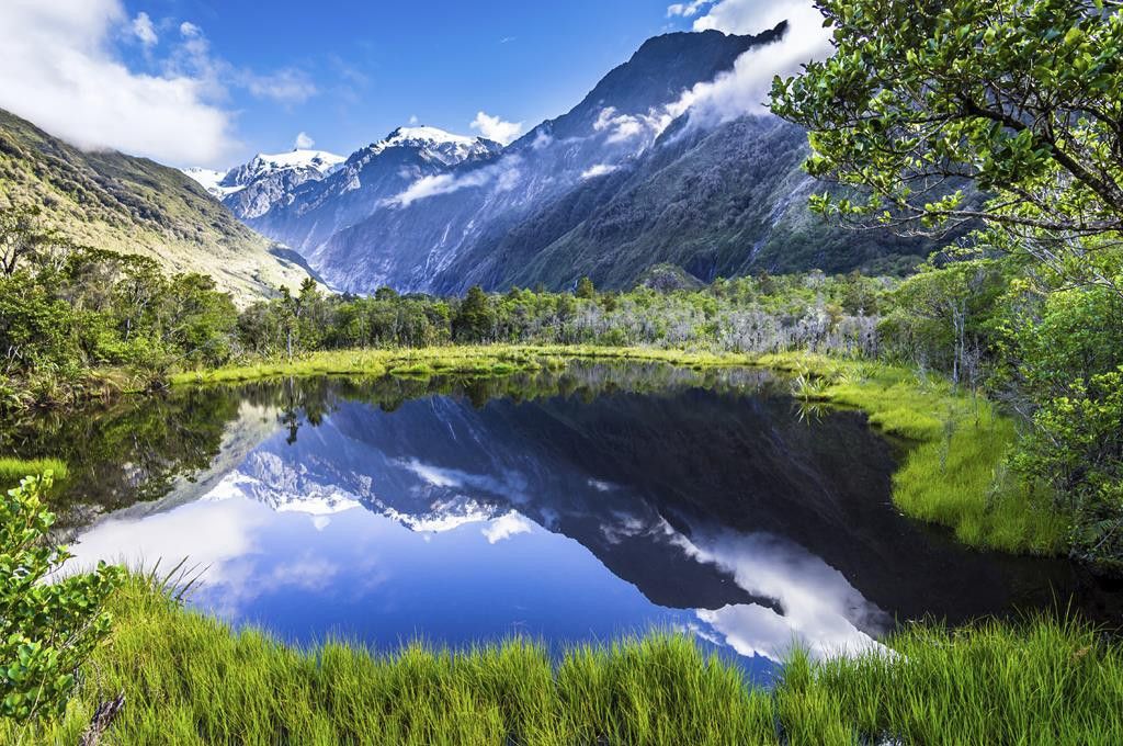 Franz Josef Glacier | Bella Vista