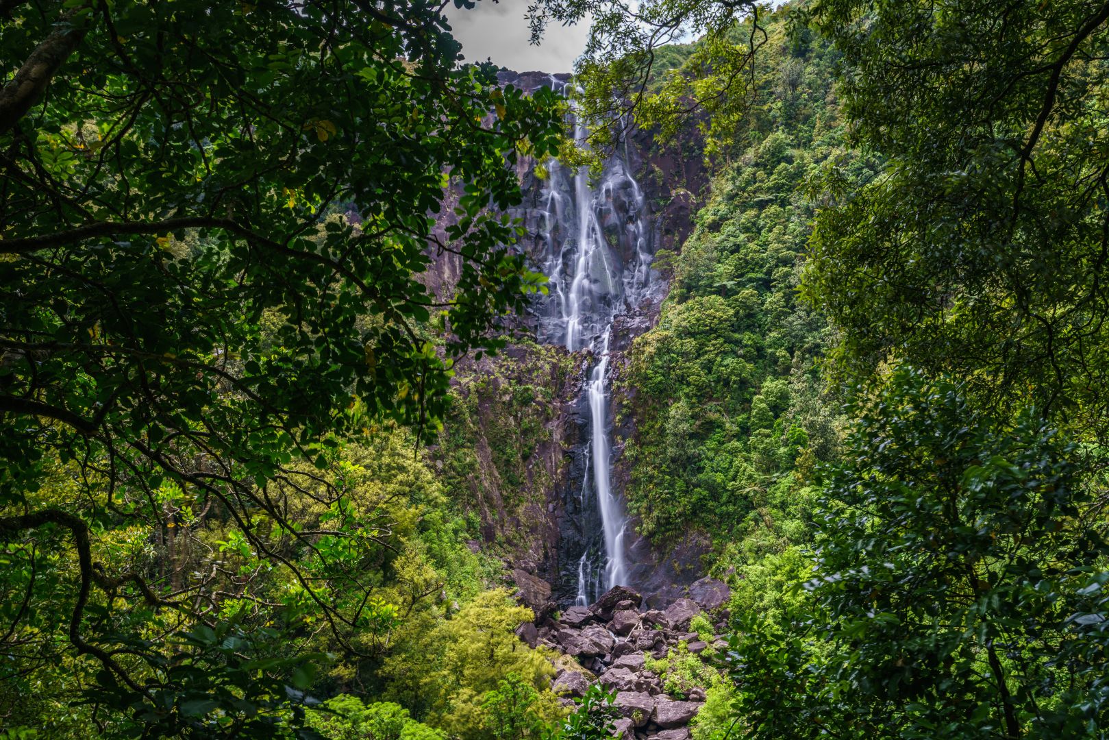 Best Hikes In Hamilton | Blogs | Bella Vista Hamilton