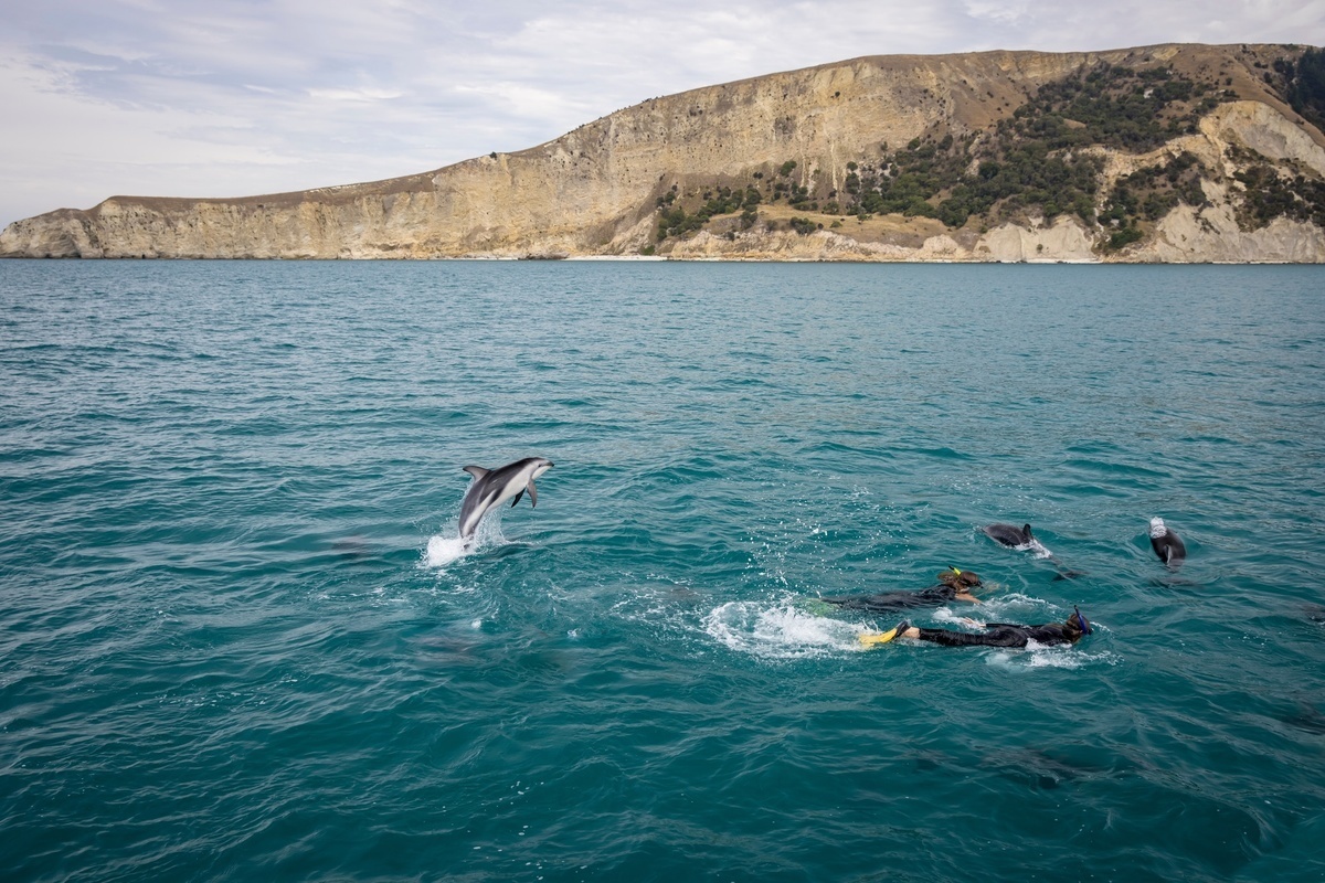 Kaikoura Attractions To Fill Your Bucket