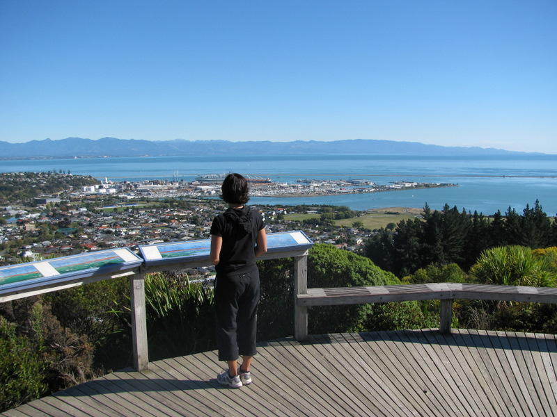 Things To Do In Nelson | Bella Vista