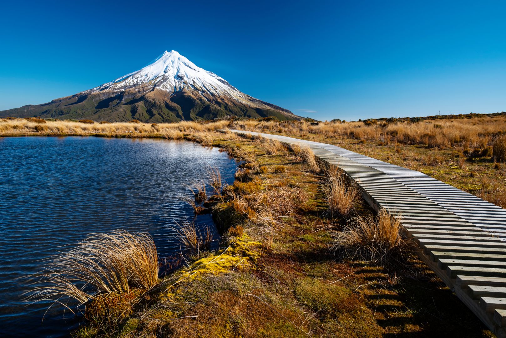 New Plymouth Attractions | Blog | Bella Vista