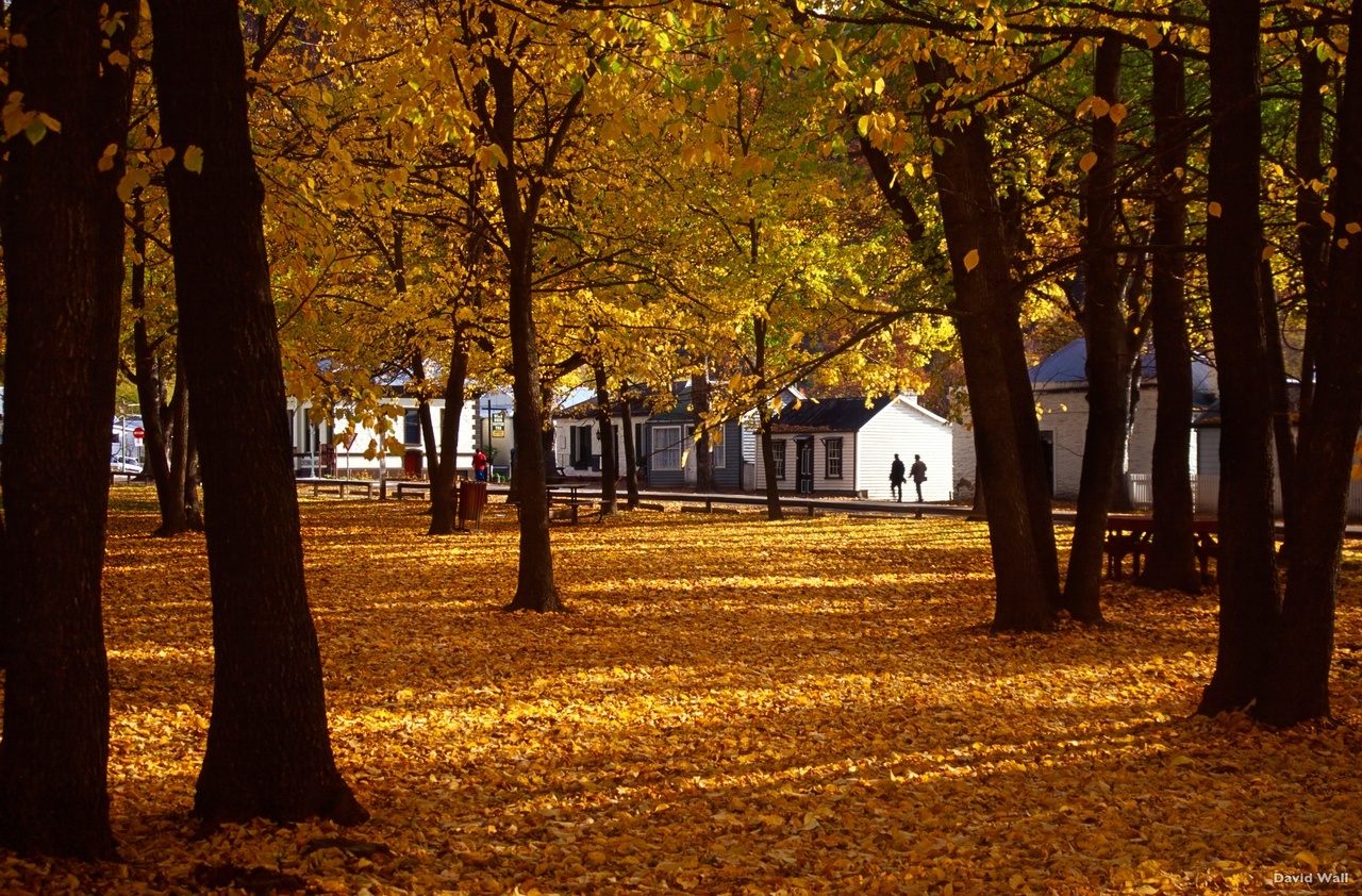 Queenstown in Autumn | Bella Vista