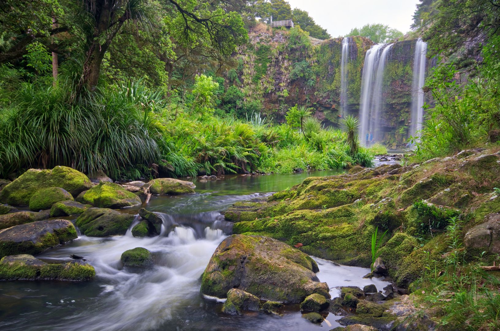 Everything you need to know about Whangarei Falls