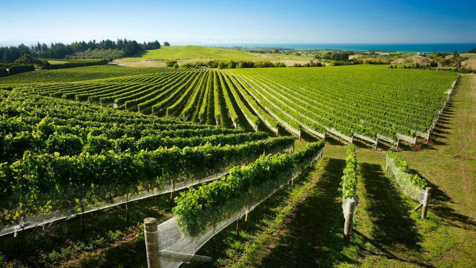 Napier & Hawkes Bay: 5 Winery Lunch stops not to be missed!