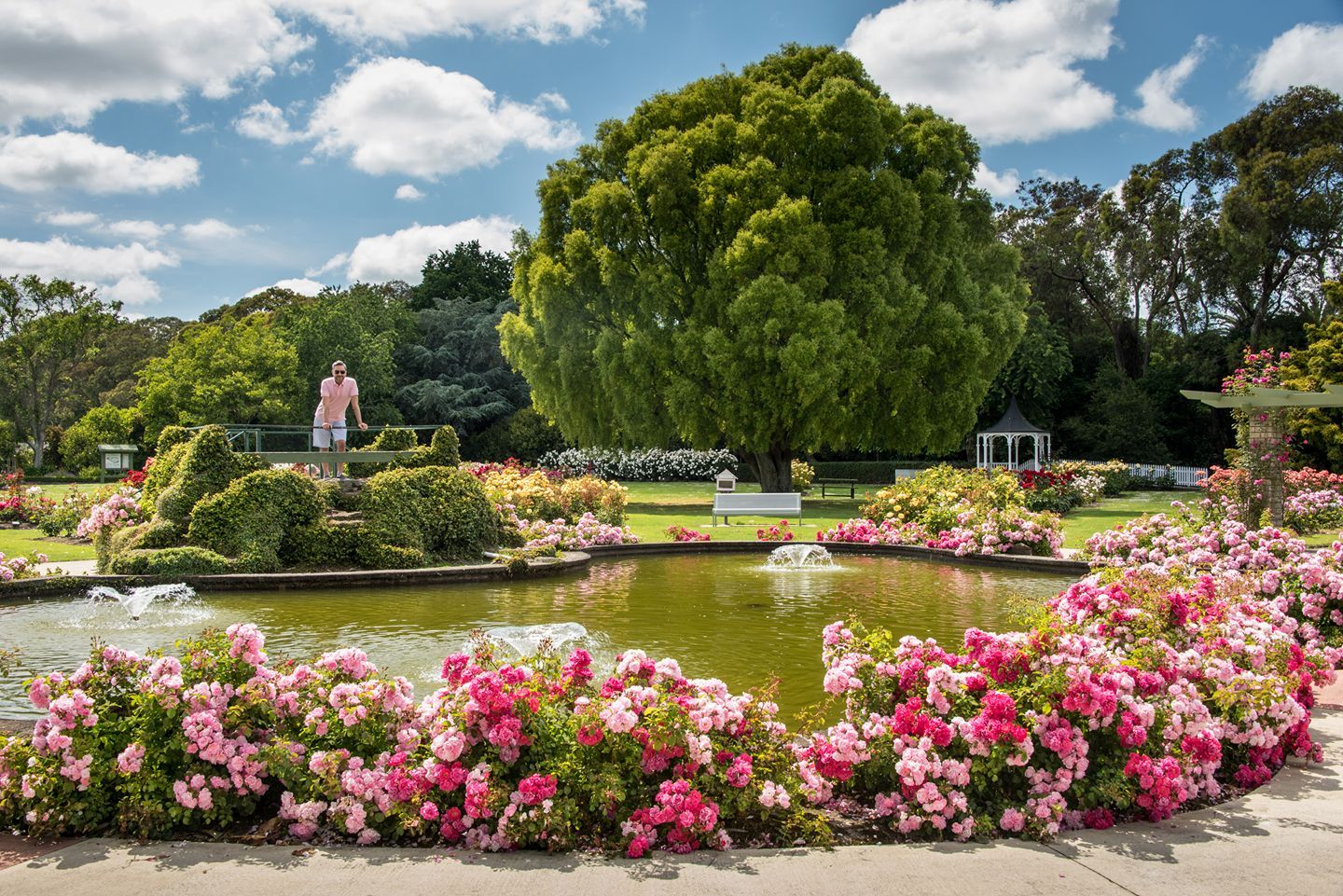 The best things to do in Palmerston North