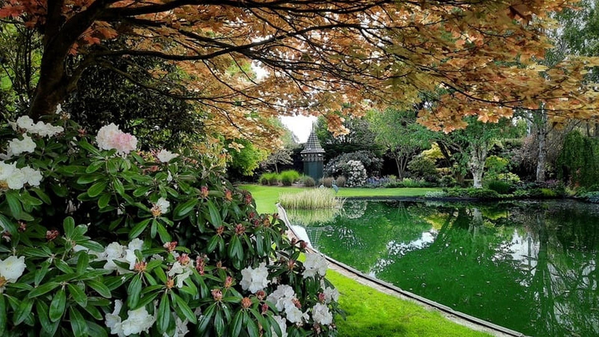 Trott's Garden