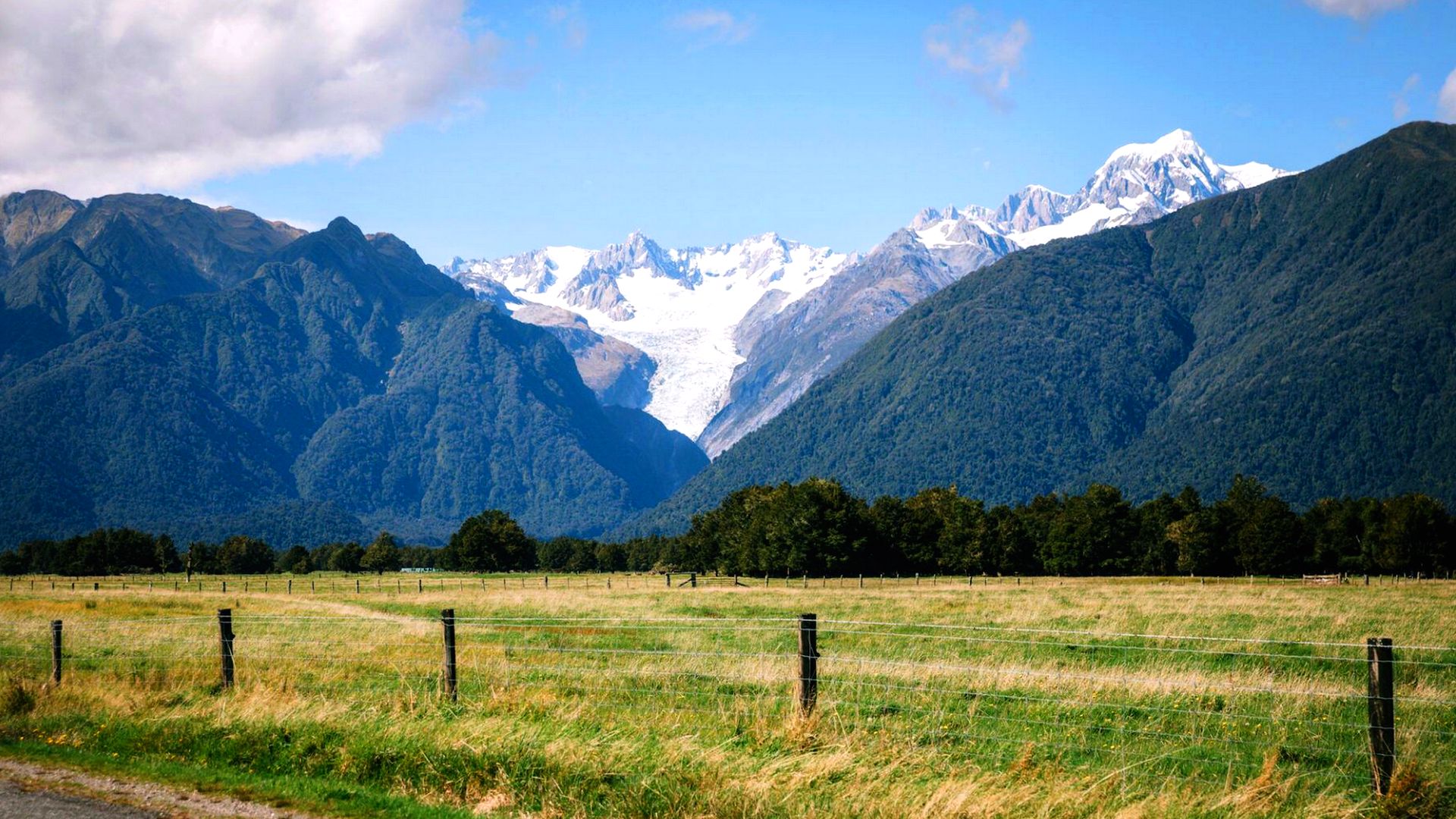 Fox Glacier