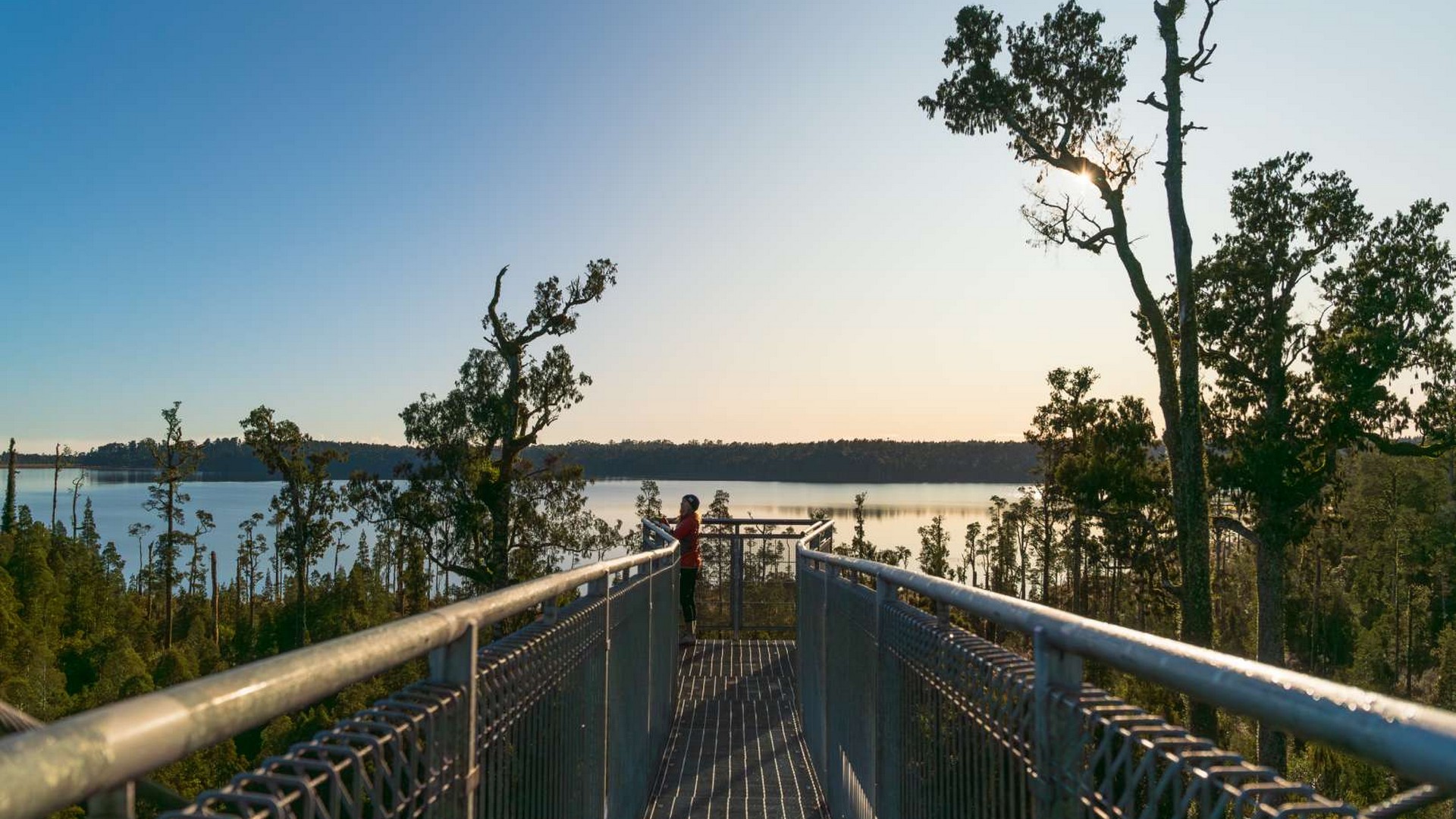 Treetop Zipline, Walk & Café