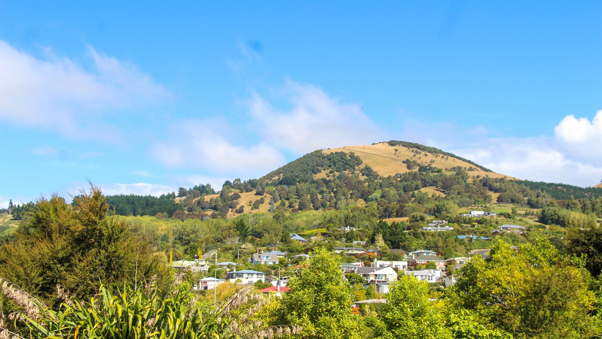 Saddle Hill