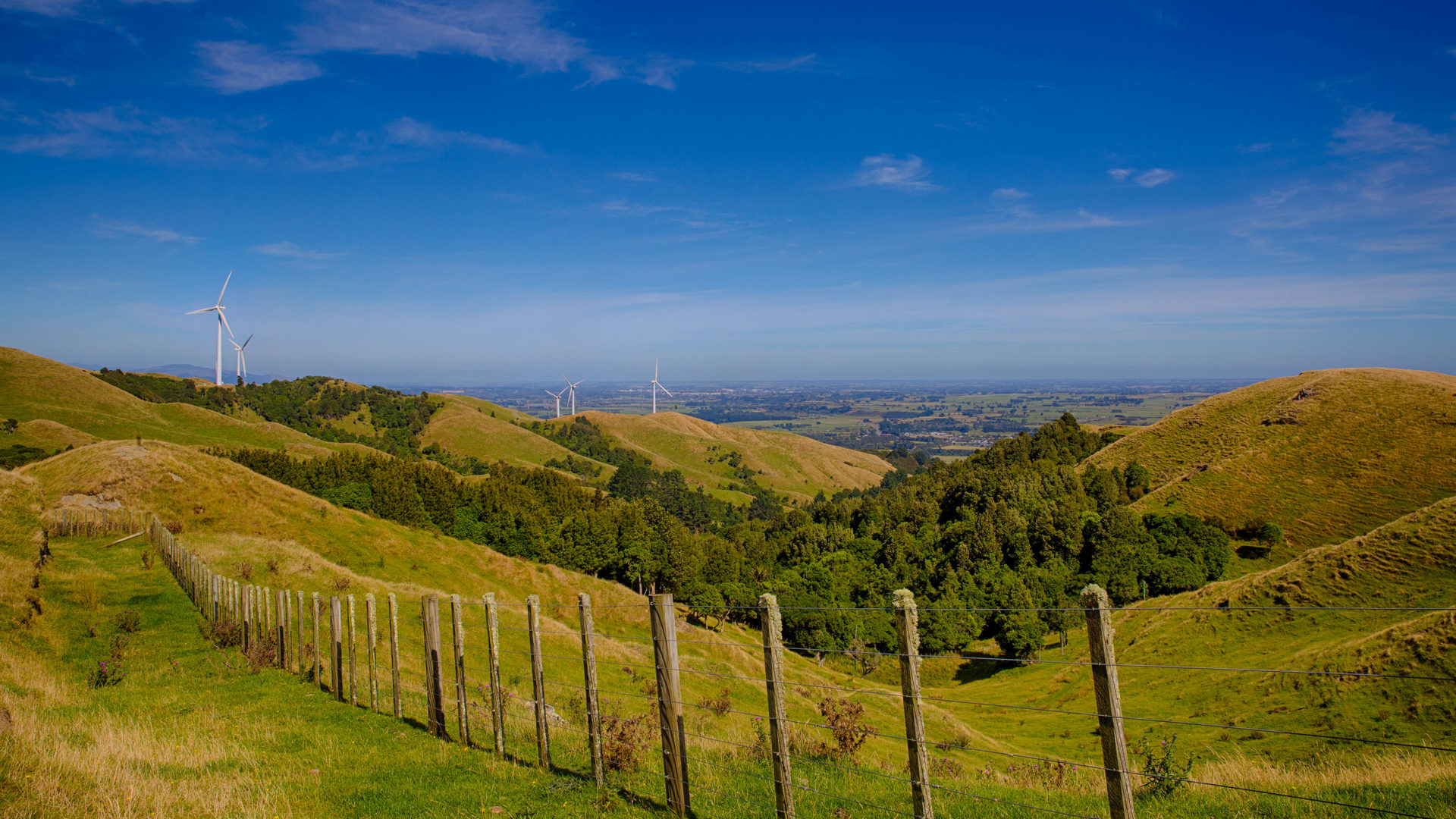 Te Āpiti Wind Farm