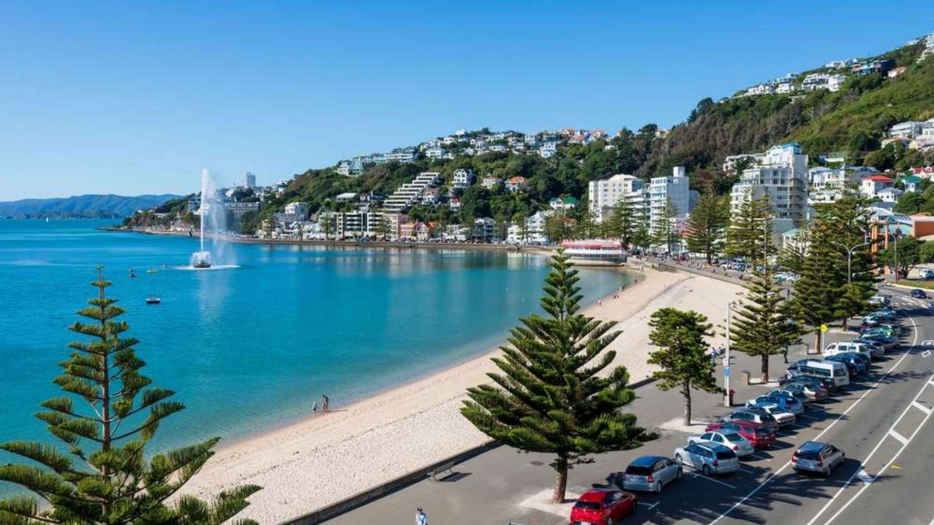 Oriental Bay