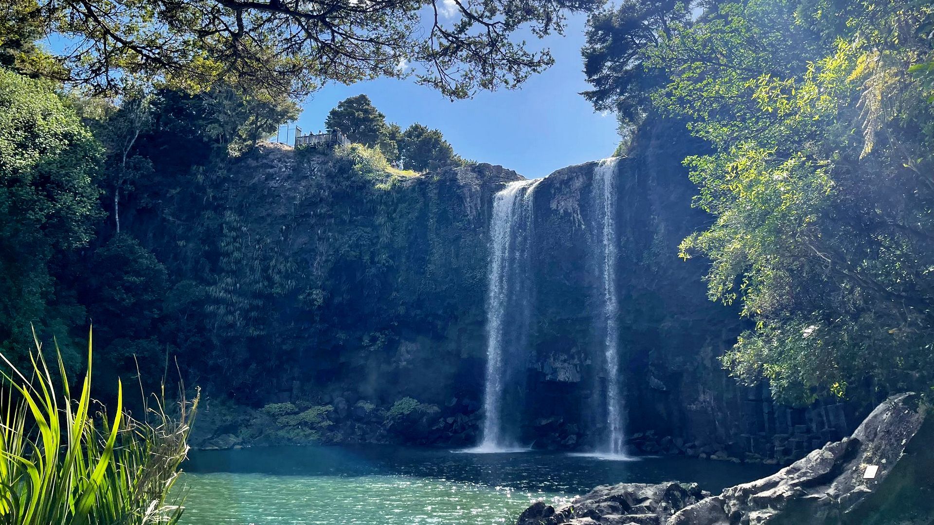Whangārei Falls